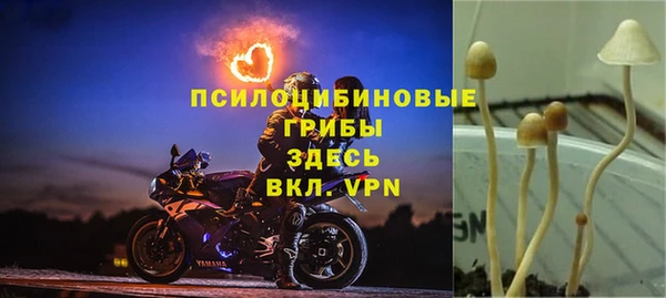 альфа пвп Арсеньев