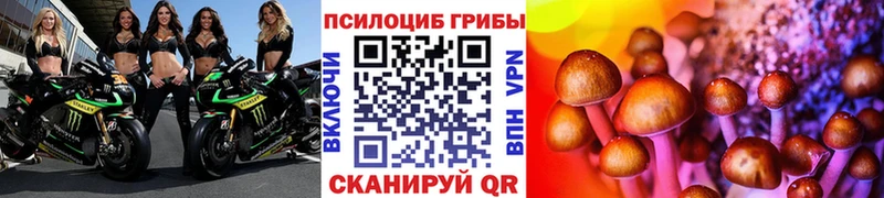 Псилоцибиновые грибы мицелий Нижний Новгород